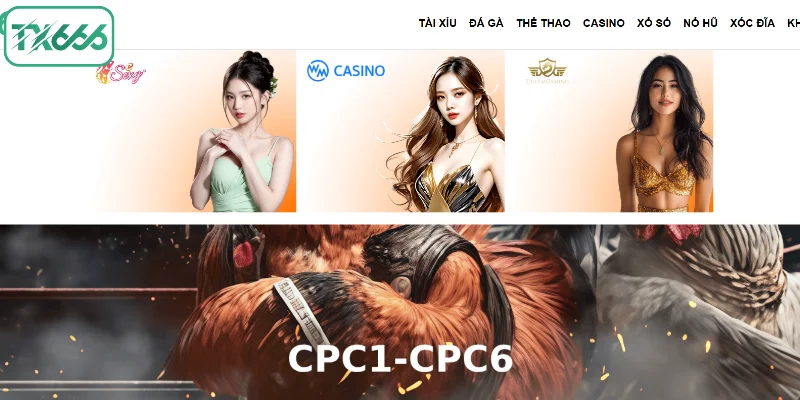 Các thương hiệu hàng đầu bắt tay với Live Casino tại TX666