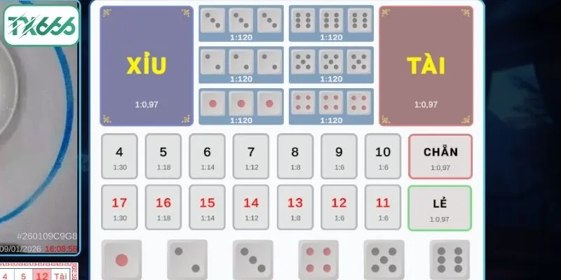 Hướng dẫn chơi Tài Xỉu Thomo chi tiết từ A - Z